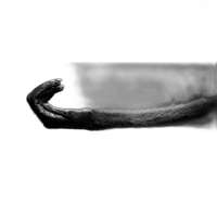 Advanced Photography Mentoring with Kristi Odom 4