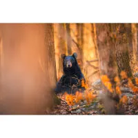 EXPO: Portfolio Reviews with Bobby Stormer 3