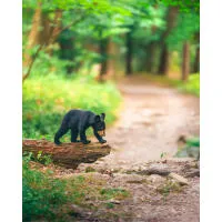 EXPO: Portfolio Reviews with Bobby Stormer 6