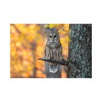 EXPO: Portfolio Reviews with David Akoubian (Tamron) 1