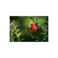 EXPO: Portfolio Reviews with David Akoubian (Tamron) 2