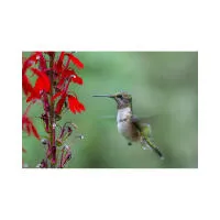 EXPO: Portfolio Reviews with David Akoubian (Tamron) 3