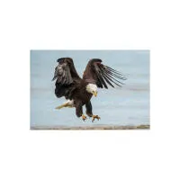 EXPO: Portfolio Reviews with David Akoubian (Tamron) 4