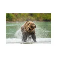 EXPO: Portfolio Reviews with David Akoubian (Tamron) 6