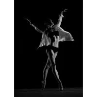 EXPO: Capturing Dance Movement Through Photography with Steve Vaccariello 4