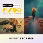 EXPO: Photographing Foxes with Bobby Stormer 0
