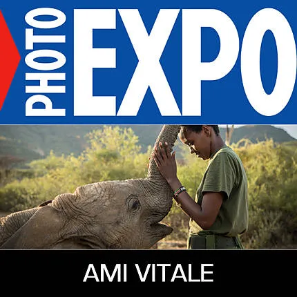 EXPO: The Stories We Are Seeking with Ami Vitale (Nikon)
