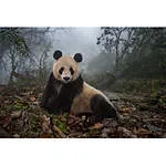 EXPO: The Stories We Are Seeking with Ami Vitale (Nikon) 2