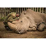 EXPO: The Stories We Are Seeking with Ami Vitale (Nikon) 4