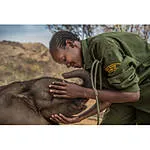 EXPO: The Stories We Are Seeking with Ami Vitale (Nikon) 6