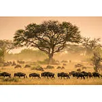 EXPO: The Stories We Are Seeking with Ami Vitale (Nikon) 7