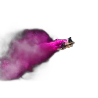 EXPO: Disc Dogs in Action with Anabel DFlux (Sigma) 2