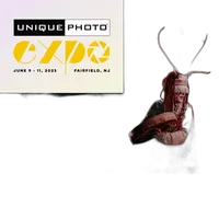 EXPO: Music Photography Tips and Tricks with Anabel DFlux (Sigma) 0