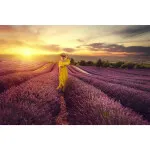EXPO: Fashion and Lifestyle Photography Techniques with Dixie Dixon (Nikon) 3