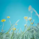 EXPO: Unlocking Creativity with Pinhole Photography and Heather Palecek 1