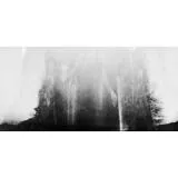 EXPO: Unlocking Creativity with Pinhole Photography and Heather Palecek 5