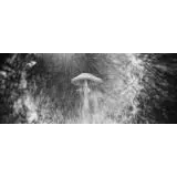 EXPO: Unlocking Creativity with Pinhole Photography and Heather Palecek 6