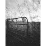 EXPO: Unlocking Creativity with Pinhole Photography and Heather Palecek 7