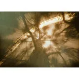 EXPO: Unlocking Creativity with Pinhole Photography and Heather Palecek 9