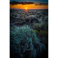 EXPO: Mastering Natural Light with Sony Artisan Andy Katz (Sony) 2