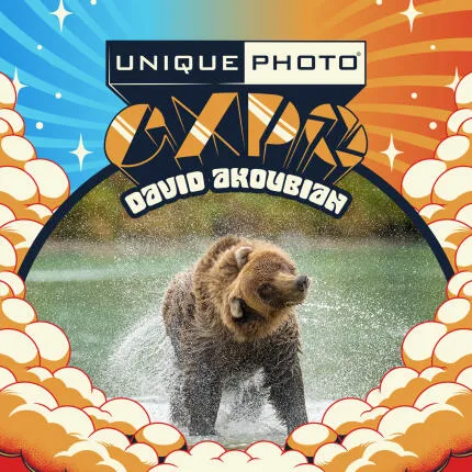EXPO: The Decisive Moment in Wildlife Photography w. David Akoubian (Tamron)