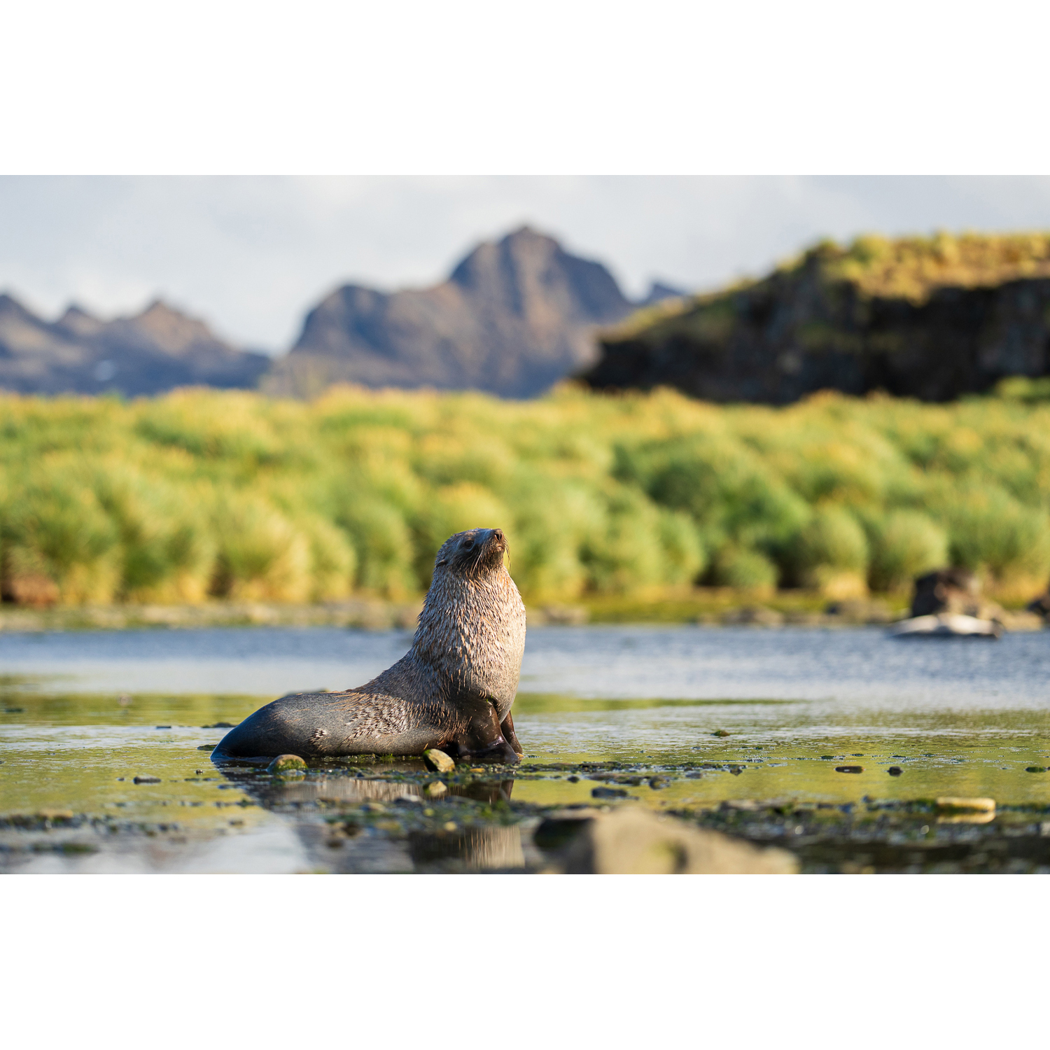 Review: EXPO—Stories from the Road w. Matthew Borowick — Lighting Techniques for Feature Stories