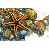 NJCS: Macro Tips, Tricks, and Techniques with Mike Moats (Tamron) 4