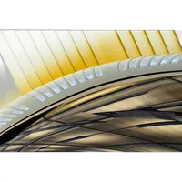 NJCS: Macro Tips, Tricks, and Techniques with Mike Moats (Tamron) 5