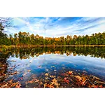 NJCS: Take Your Photography to the Next Level with Padma Inguva (AIP) 6