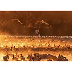 NJCS: Timelapse Imagery with Shiv Verma (Panasonic) 6