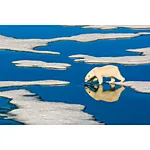 NJCS: The Learning Curve with Ralph Lee Hopkins (Olympus) 4