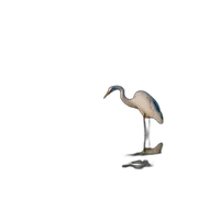 Bird Photography Bootcamp: Welcome to the Atlantic Flyway 3