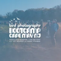 Bird Photography Bootcamp: Golden Hour Migration at Cape May Point 0