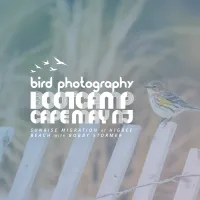 Bird Photography Bootcamp: Sunrise at Higbee Beach with Bobby Stormer 0