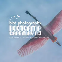 Bird Photography Bootcamp: Sunrise at Cape May Meadows with Ivey Kennedy 0