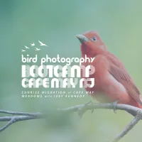 Bird Photography Bootcamp: Sunrise at Cape May Meadows with Ivey Kennedy 0