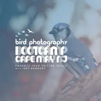 Bird Photography Bootcamp: Enhance Your Editing Skills with Ivey Kennedy 0