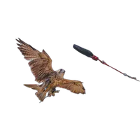 NJCS: East Coast Falcons Shoot with Bobby Stormer 2