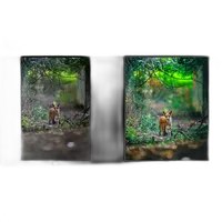 NJCS: Lightroom Photo Editing for Nature and Wildlife with Bobby Stormer 2