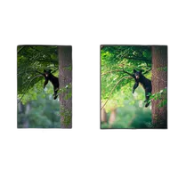 NJCS: Lightroom Photo Editing for Nature and Wildlife with Bobby Stormer 3