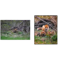 NJCS: Lightroom Photo Editing for Nature and Wildlife with Bobby Stormer 4
