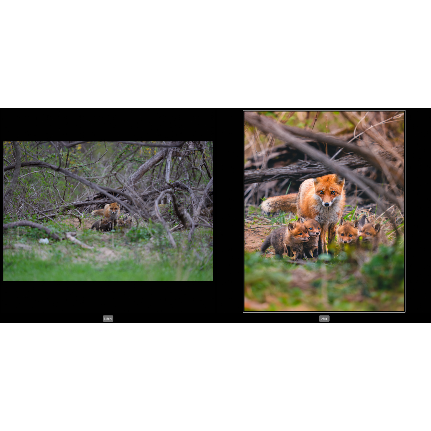 Anyone Try the New Lightroom Noise Reduction? How Does It Compare?