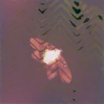 CS: Experimental Photography Sampler with Heather Palecek 8