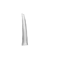 CS: Infrared Photography with Thibault Roland (Sony) 1