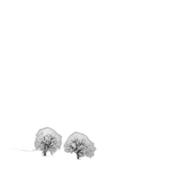 CS: Infrared Photography with Thibault Roland (Sony) 2