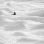 NJCS: The Art of Black and White Photography with Thibault Roland (Sony) 2