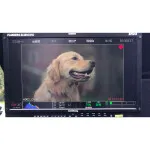 CS: Video and Film Editing in Adobe Premiere with Ian Schobel 1