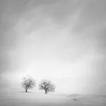 NJCS: Long Exposure Photography with Thibault Roland (Sony) 1