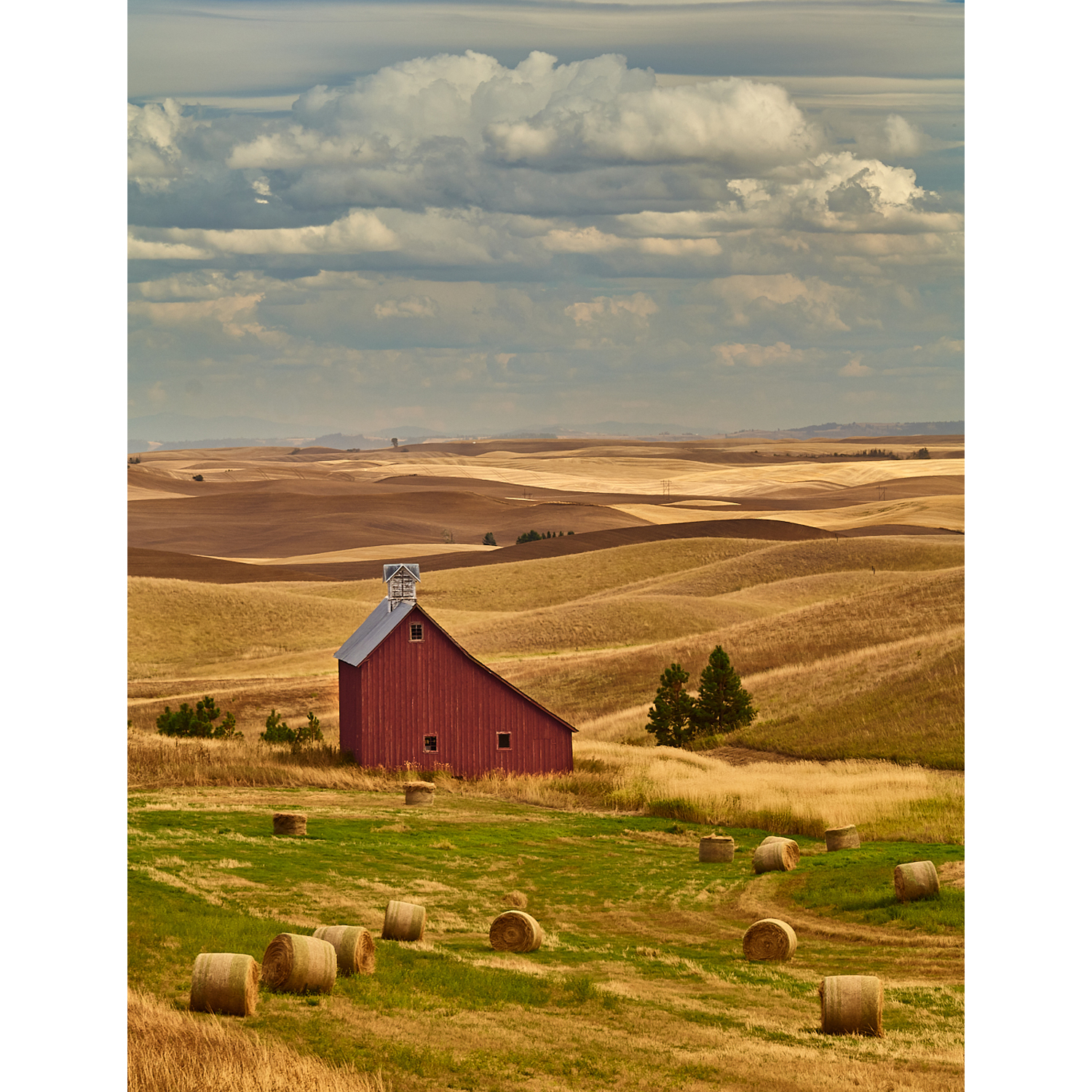 Essential Composition Techniques for Beginners: Build Stronger Photos Fast