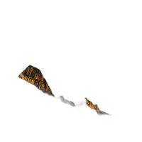 UUOnline: Photographing the Nighttime Landscape with Roman Kurywczak 0
